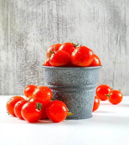 Miniatura 3 de Semillas de bonsái de tomate de interior 30+ semillas para plantar tomate enano de interior variedad de tomate autopolinizador