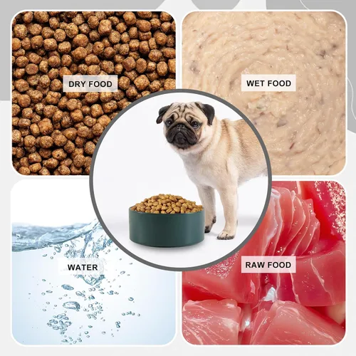 Miniatura 4 de Cuenco de cerámica para perros para comida y agua, cuenco comedero para mascotas para perros pequeños a medianos y gatos grandes, plato de Blanco