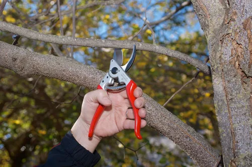 Miniatura 2 de Corona BP 6360 Forged Steel Aluminum Handles Angled Bypass Hand Pruner - 1 inch Cut Capacity Stem and Branch Garden Shears, Red (Pack of 6)