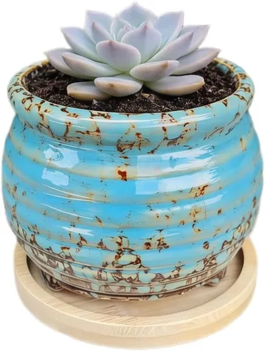 Miniatura 63 de Bonita maceta circular de cerámica para decoración del hogar y jardín, suculentas, cactus, maceta no incluida (azul, 3.19 pulgadas)