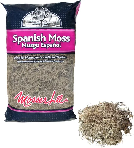 Miniatura 8 de Mosser Lee Musgo español – Musgo decorativo natural para plantas de interior, cubierta de tierra, manualidades, terrarios y arreglos florales - 2.4