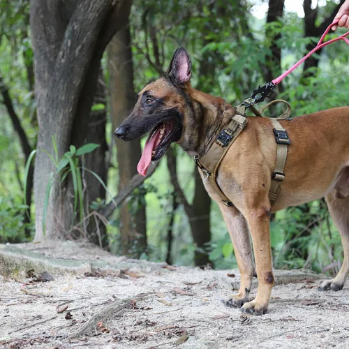 Miniatura 2 de ICEFANG Arnés de correa para perro con 4 hebillas de metal, para perro de tamaño mediano, chaleco K9, pecho en forma de Y, arnés ajustable