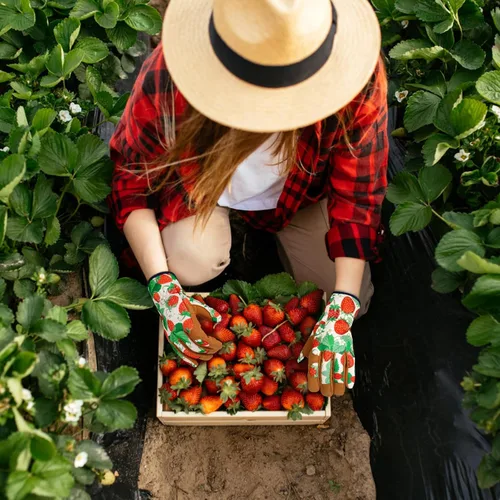 Miniatura 7 de Guantes de Jardinería de Cuero MERTURN para Mujeres, Guantes de Jardín a Prueba de Espinas, Guantes de Trabajo Compatibles con Pantalla Táctil