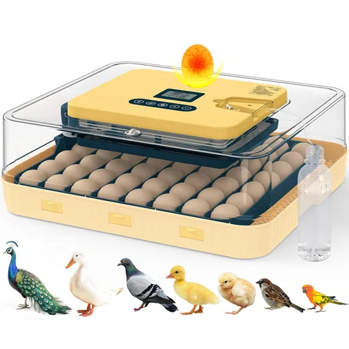 Incubadoras para incubar huevos, incubadora de 56 huevos con ovoscopio, volteador automático de huevos, control de temperatura y humedad, día de