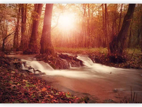 Miniatura 10 de artgeist Mural de pared premium Bosque púrpura, 79 x 55 pulgadas, papel tapiz no tejido, decoración de pared de vellón, impresión fotográfica