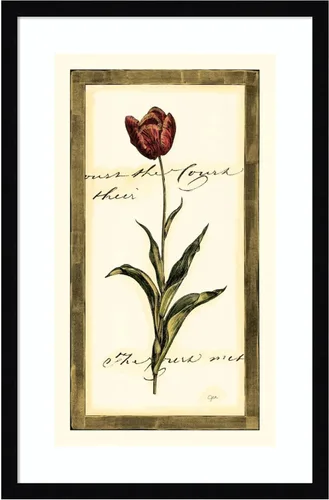 Miniatura 16 de Amanti Art Impresión artística enmarcada para pared, 17 x 25 pulgadas, diseño de tulipán I de Vision Studio, póster enmarcado para decoración