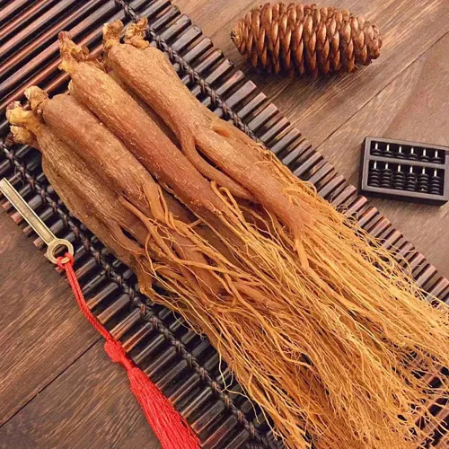 Miniatura 4 de Raíz de ginseng rojo, Ginseng rojo Corea, té de ginseng rojo raíz de ginseng rojo coreano, raíz de ginseng rojo orgánico, raíz de ginseng rojo 16