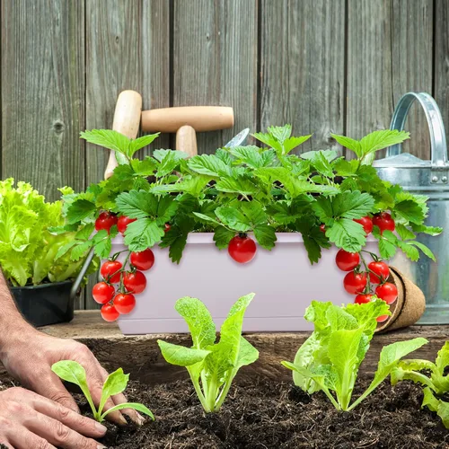 Miniatura 7 de CHUKEMAOYI Macetero para ventana, paquete de 7 macetas de plástico para verduras, macetas rectangulares de 17 pulgadas con platillos