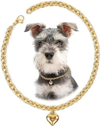 Miniatura 15 de HOWWFALY Collar para Perro y Cadena Collar para Gato de Acero Inoxidable Ajustable Collar en Forma de Corazón de Oro 18K para Mascotas Pequeñas