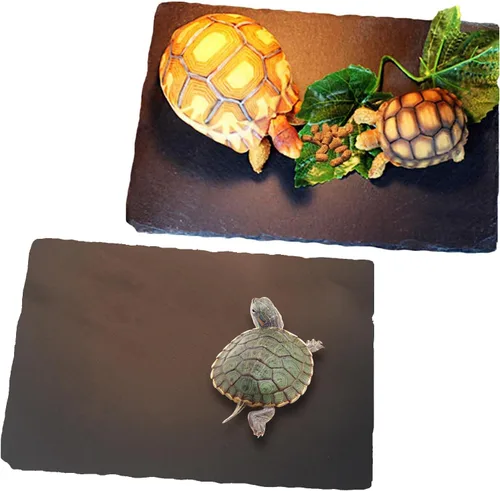 Miniatura 10 de Tfwadmx Plataforma para tomar el sol de reptiles, área de baño de tortuga, área de baño de tortuga, placa de roca original, uñas de molienda
