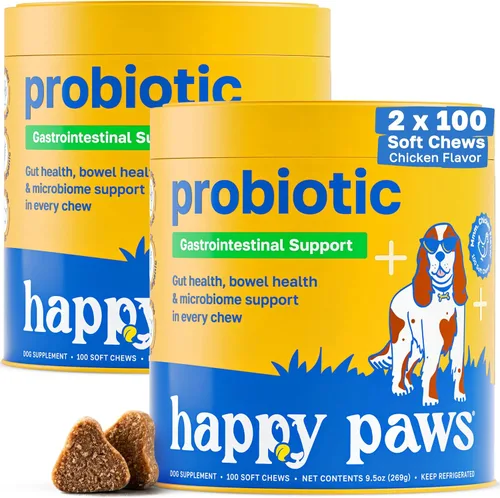 Happy Paws Apoyo probiótico para la salud intestinal para perros, masticables suaves con probióticos, semillas de calabaza, batata, hinojo, aceite