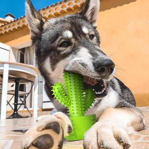 Miniatura 6 de Pamlulu Juguetes masticables para perros, cepillo de dientes para limpieza dental para perros pequeños, medianos y grandes, juguetes chirriantes