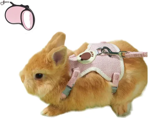 MANON ROSA Juego de arnés y correa de conejo para conejos, chaleco ajustable para conejillo de indias, chinchilla, hámster, hurón, rata, gatito,