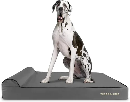 Miniatura 28 de The Dog's Bed - Cama Ortopédica para Perros con Reposacabezas XL Negra de Felpa, Espuma Viscoelástica, Alivio del Dolor para Artritis, Displasia