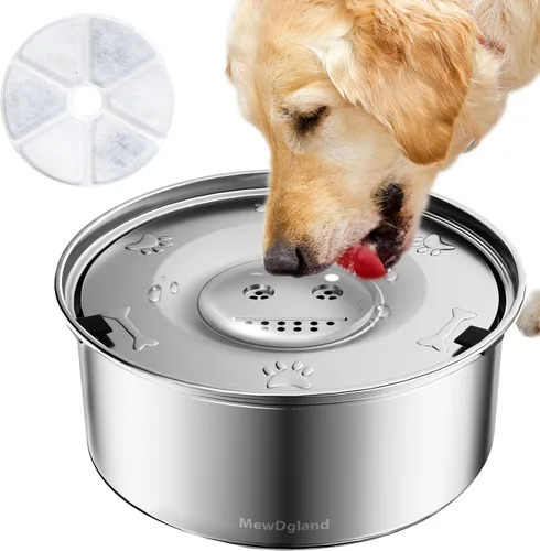 Dispensador de tazón de agua para perros, cuencos de agua antiderrames para perros y comedero lento de acero inoxidable para perros, dispensador