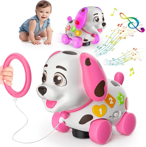 Juguetes musicales 3 en 1 para cachorros para niña de 1 año de regalo, juguete educativo para bebé de 6-12-18 meses, primer regalo de cumpleaños