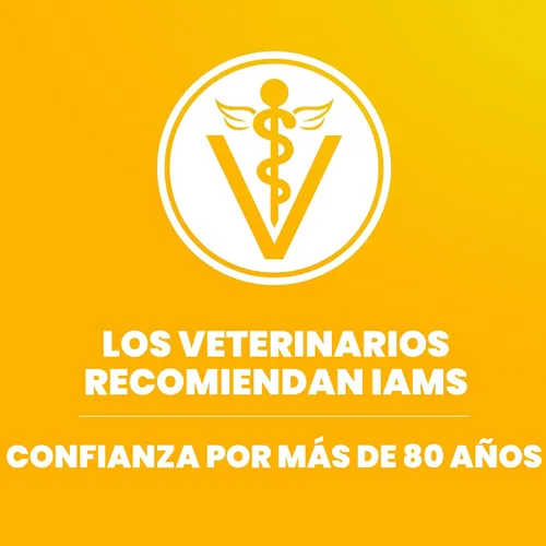 Miniatura 6 de IAMS Proactive Health Alimento para cachorros con pollo real, bolsa de 15 libras