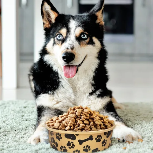 Miniatura 6 de Whaline 50 cuencos desechables para mascotas de 16 onzas, papel kraft para perros y gatos, pequeños cuencos de comida con diseño de huella de pata