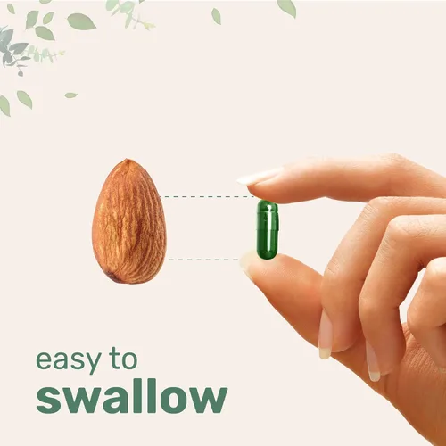 Miniatura 5 de Micro Ingredients Complejo de Súper Verdes con Clorofila 240 Cápsulas Vegetales con Perejil, Moringa, Espirulina, Clorela y Más Sin Gluten, Sin