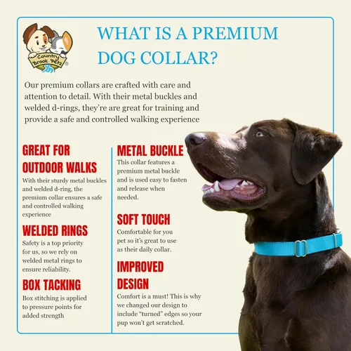 Miniatura 5 de Country Brook Petz - Collar de nailon premium para perro con hebilla de metal para razas pequeñas, medianas y grandes - Más de 10 colores geniales