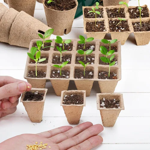 Miniatura 3 de Doter 10 paquetes de bandejas de inicio de plántulas, 120 celdas, bandejas de germinación de semillas biodegradables, macetas de turba para plantas
