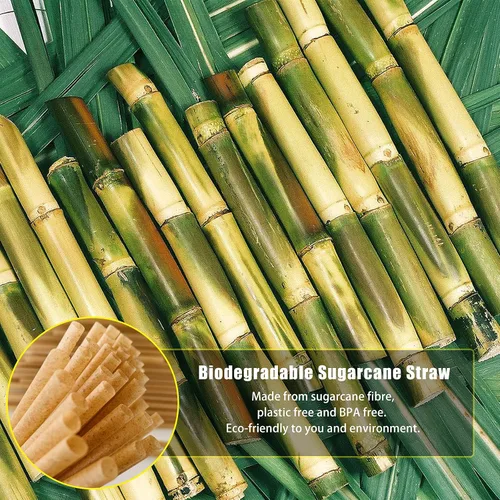 Miniatura 2 de Pajitas de cóctel cortas biodegradables de 5 pulgadas, 200 pajitas de cóctel compostables, hechas de 100% fibra de caña de azúcar, popotes