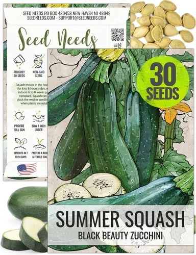 Seed Needs Semillas de calabacín para plantar calabaza de verano Black Beauty, sin OMG, reliquia y sin tratar, rendimientos prolíficos de deliciosos