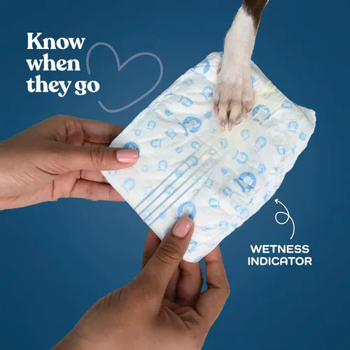 Miniatura 5 de Pañales cómodos para perros machos, paquete de 30 envolturas desechables súper absorbentes para perros machos, tecnología FlashDry Gel con indicador
