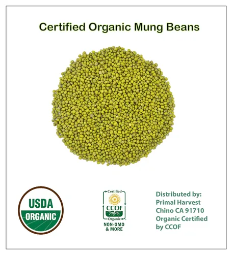 Miniatura 7 de Frijoles Mungos Orgánicos Secos Enteros también conocidos como 'Green Gram' 'Maash' 'Moong' Prelavados Limpios Listo para Cocinar sin OMG