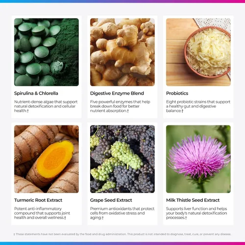 Miniatura 3 de Livingood Daily Verdes y superalimentos en polvo, súper verdes para la salud intestinal, jugo verde en polvo con espirulina, clorella y enzimas