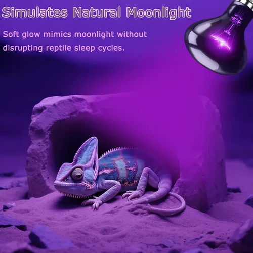 Miniatura 7 de Bombilla nocturna de reptil de 75 W, lámpara de calor UVA – Bombilla de luz de luna natural simulada para dragón barbudo, lagarto, serpiente