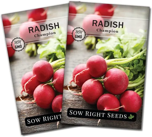 Miniatura 7 de Sow Right Seeds - Semilla de rábano Champion para plantar - Paquete de reliquia sin OMG con instrucciones para plantar un huerto casero - Cultiva