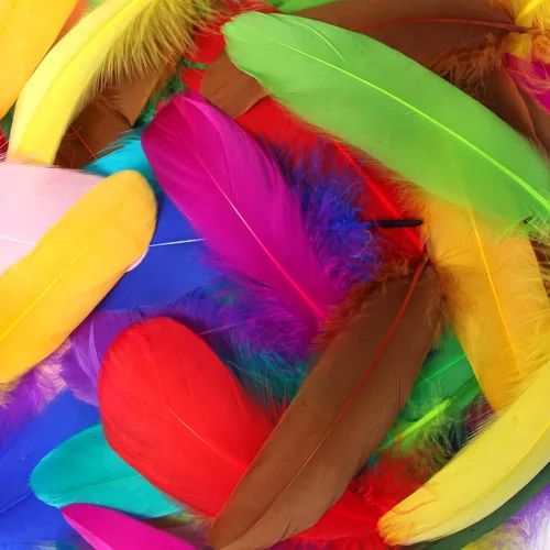 Miniatura 9 de 300 plumas de ganso negras naturales a granel, plumas naturales a granel de 5 a 7 pulgadas para manualidades, atrapasueños, alas de ángel
