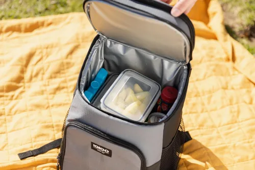 Miniatura 7 de Igloo Maxcold Ice Block