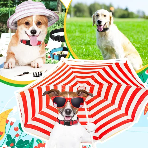 Miniatura 4 de 6 piezas de collar reflectante para perro, suave, acolchado, transpirable, ajustable, de nailon para mascotas, con hebilla de bloqueo de seguridad