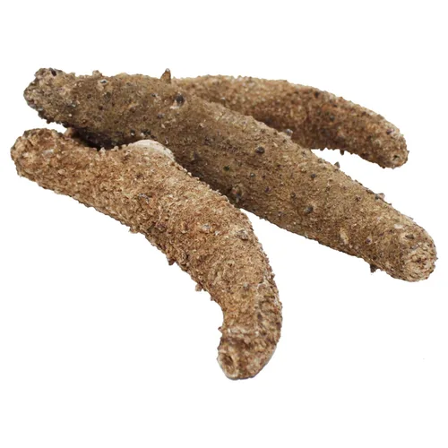 Miniatura 2 de DOL Wild Alaska Red Sea Pepino 9-12pcs 7-9 años 9-12 (pepino de mar seco)- en caja grande 8oz/caja Caja Grande-8 onzas
