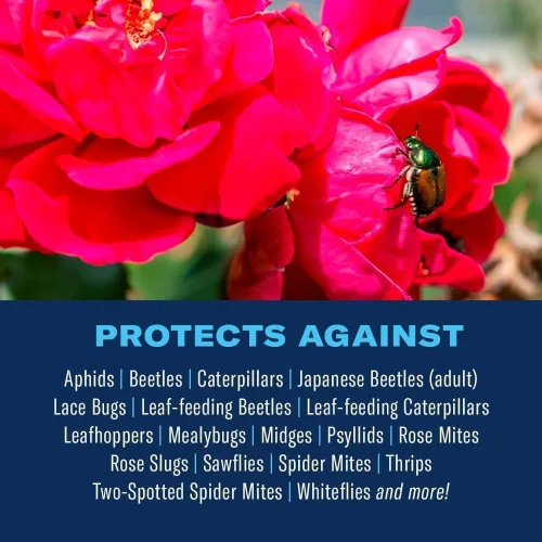 Miniatura 2 de Bayer Advanced 701290 insecticida para enfermedad de insectos 3-en-1 y control de ácaros listo para usar, 24 onzas