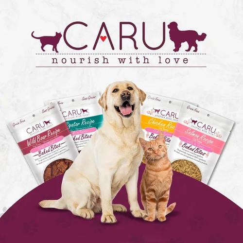 Miniatura 6 de Caru Soft n' Tasty Baked Bites Salmon Bites - Golosinas para perros para entrenamiento, carne real con arándanos y arándanos, bolsas de 4 onzas