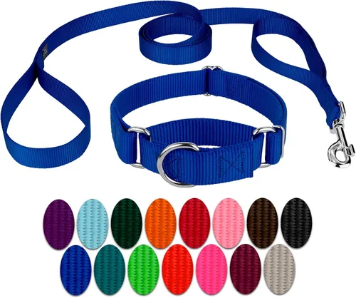 Miniatura 20 de Country Brook Petz - Collar para perro de nailon resistente Martingala azul hielo y correa de doble asa (1 pulgada, grande)