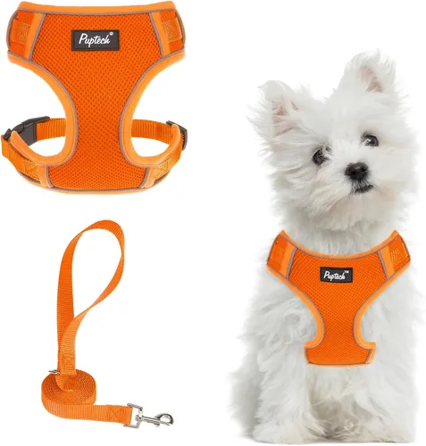 Miniatura 27 de PUPTECK Juego de arnés y correa para perro pequeño, arnés ajustable sin tirones para cachorro, chaleco de malla suave reflectante para mascotas
