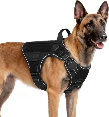 Miniatura 39 de rabbitgoo - Arnés táctico para perros pequeños, arnés resistente para mascotas con asa, chaleco de servicio sin tirones para razas pequeñas, chaleco