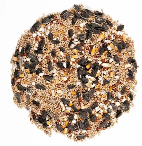Miniatura 3 de Wagner's 62008 Western Regional Blend - Alimento para pájaros silvestres, bolsa de 20 libras