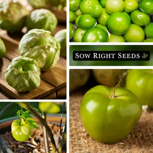 Miniatura 4 de Sow Right Seeds - Semillas de tomatillo Toma Verde para plantar - Paquete de reliquia sin OMG con instrucciones para plantar un huerto casero