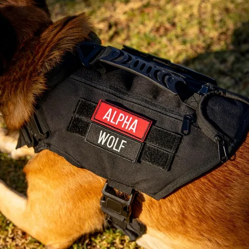 Miniatura 3 de Arnés táctico para perro (negro alfa, mediano)