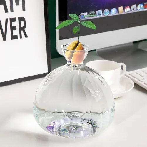 Miniatura 5 de Jarrón de inicio de semillas de aguacate, contenedor de vidrio grueso para brotes de semillas de aguacate, kit de cultivo de árboles de aguacate