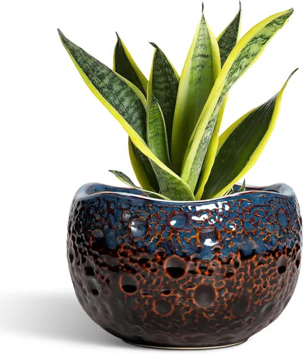 Miniatura 14 de Macetas de Cerámica Thirtypot - Maceta de 4 Pulgadas con Agujero de Drenaje, Macetas Pequeñas para Plantas de Interior y Exterior, Maceta Redonda