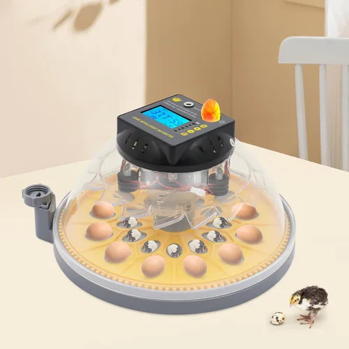 Miniatura 2 de 12 incubadoras para incubar huevos, incubadora de huevos de gallina con giro automático de huevos y pantalla de humedad y luz LED para incubar pollos