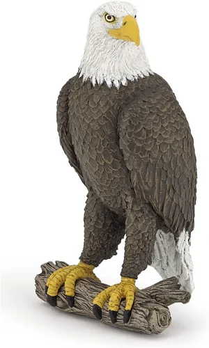 Papo - Figura realista de águila calva - A partir de 3 años - Colección Wild Life - Juego educativo de aves de presa - Juguete de idea de regalo