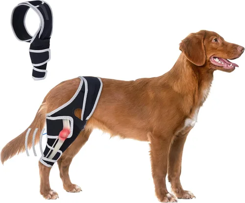 Rodillera para perro para pierna trasera desgarrada del ligamento cruzado anterior, pierna delantera o trasera con lesiones de ligamento cruzado,