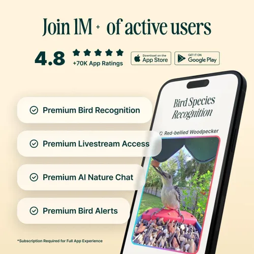 Miniatura 5 de Birdbuddy PRO Comedero Inteligente para Aves sin Energía Solar con Cámara - Identificación de Especies de Aves por IA, Fotos de 5MP, Cámara